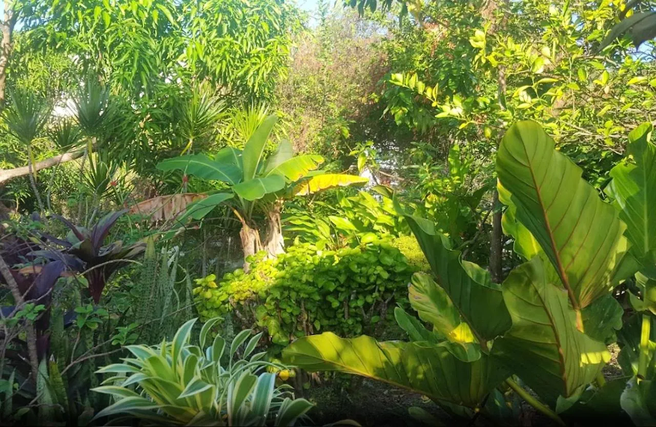 Maison Cosy A Sainte-Luce Avec Piscine Partagee Martinique